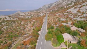 AERIAL: Tourists return from vacation along the picturesque Adriatic highway. Stunning autumn shades spread through rugged coastline by the blue sea. Panoramic winding road for holiday road trips.