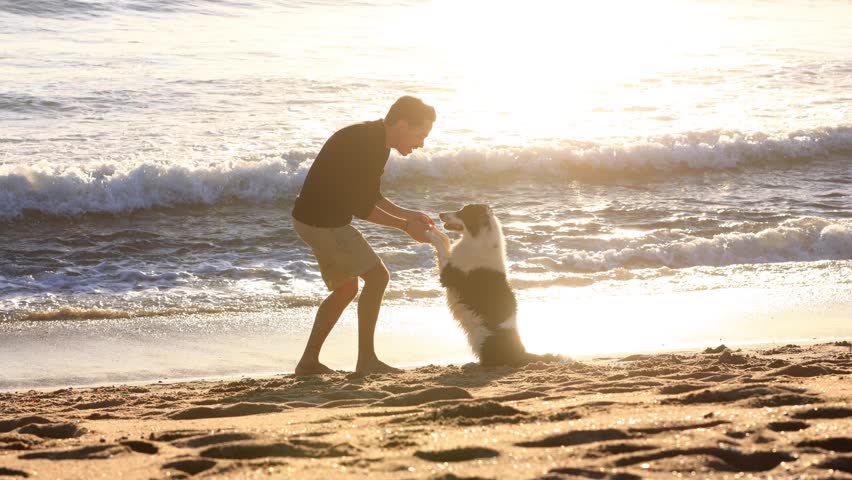 Man playing with his dog on the beach at sunset.