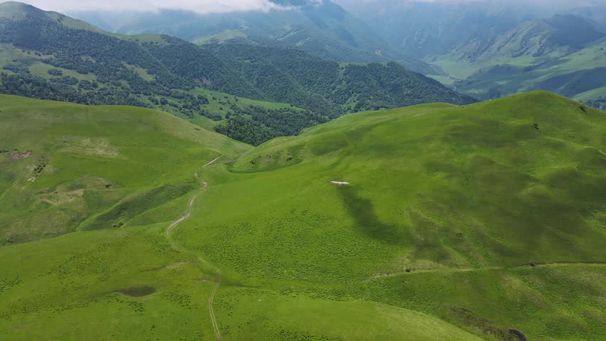 Aerial view of a bird of prey flying over an alpine green mountain valley on a sunny day. Mountain ranges and clouds in the sky. Wild animals in their natural habitat