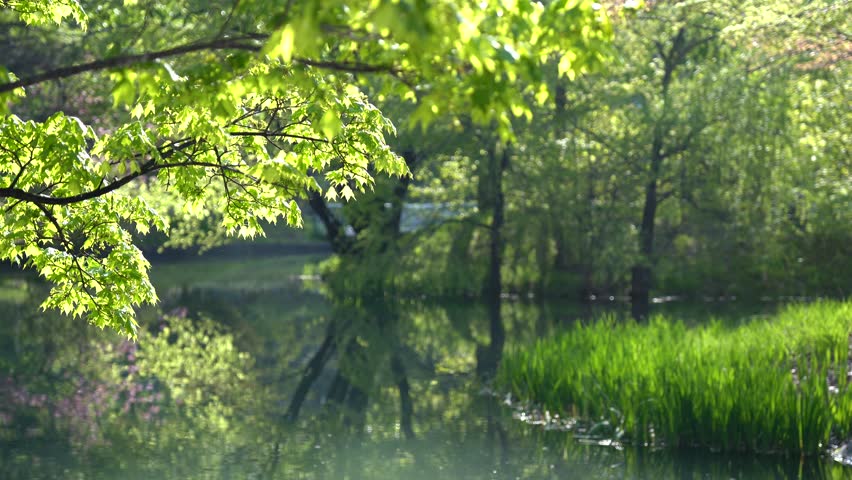 Nakajima Park in Sapporo City, Hokkaido, Japan.