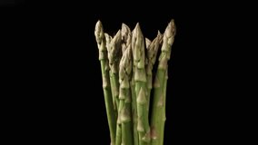 A multitude of asparagus spears on a black background rotating while water droplets splash onto them in slow motion. - Powered by Shutterstock - Get 15% off with code: PIKWIZARD15