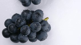 Slowly Moving Camera Captures 4K Video of Large Grapes Wet with Water on a White Background.