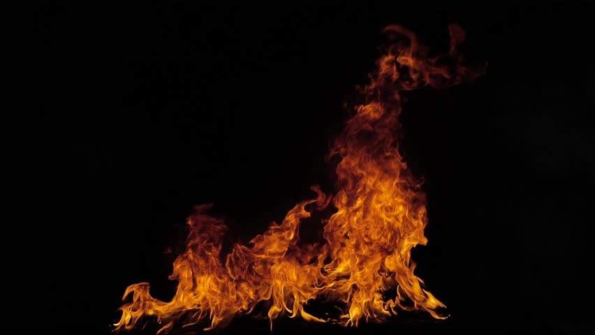 Fire flame isolate on black background. Burn abstract flames. Slow motion. Royalty-Free Stock Footage #1104040437
