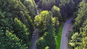 Beautiful Aerial Video of Forest Park