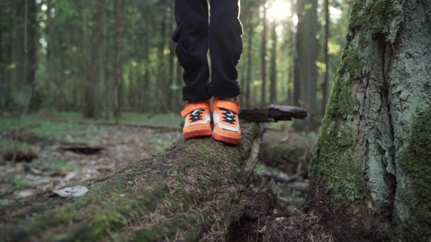 baby boy playing in the forest park. close-up child feet walking on a fallen tree log. happy family kid dream concept. a child in sneakers walks on a fallen tree in lifestyle park Royalty-Free Stock Footage #1104058751