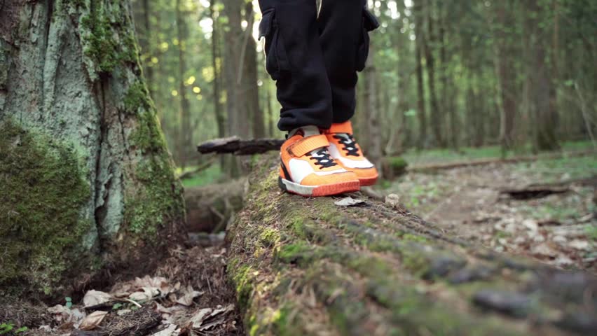 baby boy playing in the forest park. close-up child feet walking on a fallen tree log. happy family kid dream concept. a child in sneakers walks on a fallen tree in lifestyle park Royalty-Free Stock Footage #1104058759