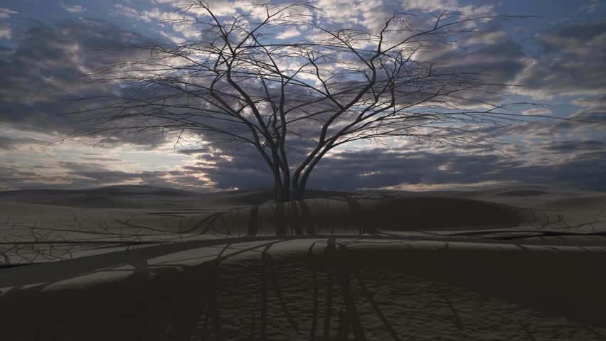 Lonely Dry tree in the desert dunes at sunset Aerial,4K
Dead tree with clouds in background and desert, Drone