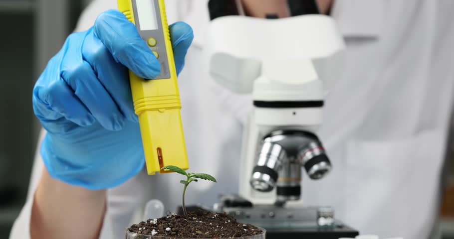 Soil laboratory analysis scientist measures pH of soil sample with tester Royalty-Free Stock Footage #1104071397