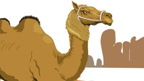 This is an animated video of a camel walking in the desert, which you can use anywhere