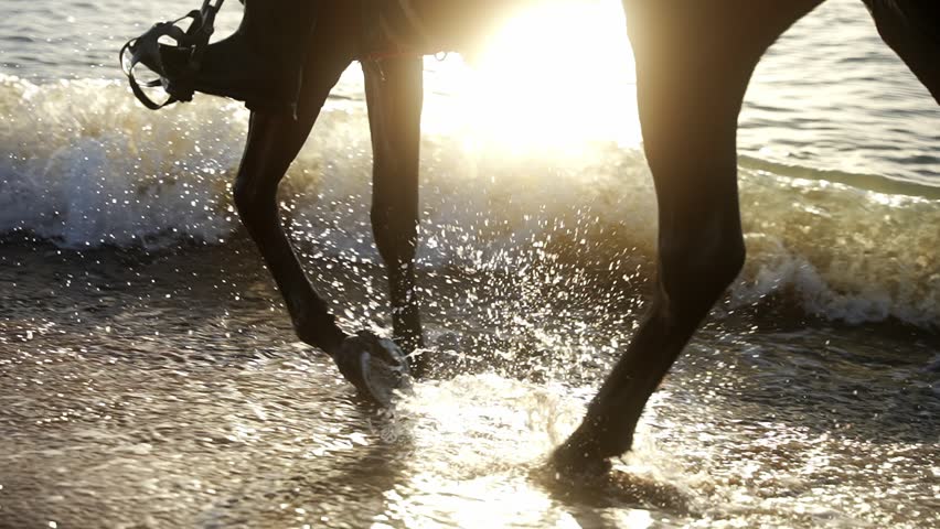 Close-up of the legs of a horse on a beach with a knight in boots. Fixed view Royalty-Free Stock Footage #1104078705