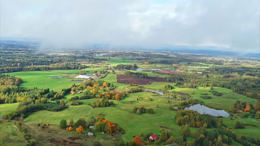 Aerial descent of grassland with dispersed trees, autumn fall foliage