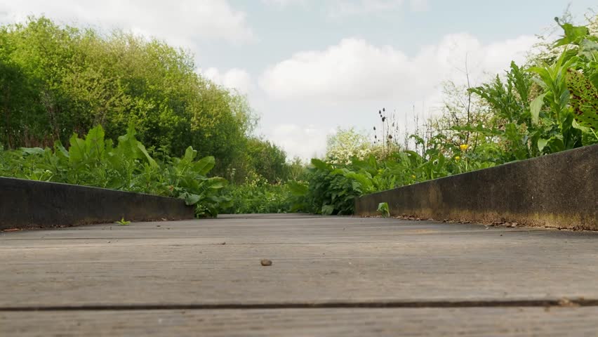 A low clip of a boardwalk in Aylestone Meadow Leicester, United Kingdom.