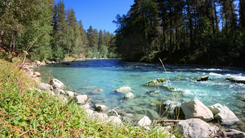 mountain ridge forest stream with clear water at summer sunny day Royalty-Free Stock Footage #1104092359
