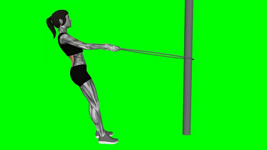 Jump Rope row female green screen fitness exercise workout animation male muscle highlight demonstration at 4K resolution 60 fps crisp quality for websites, apps, blogs, social media etc. - Powered by Shutterstock - Get 15% off with code: PIKWIZARD15