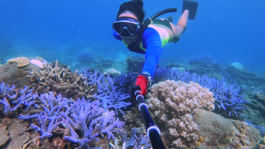 asian female bikini girl diving to blue lavender finger branching Staghorn corals surrounds by soft leather corals with shining sunlight hue ray reflection light during day time in ocean