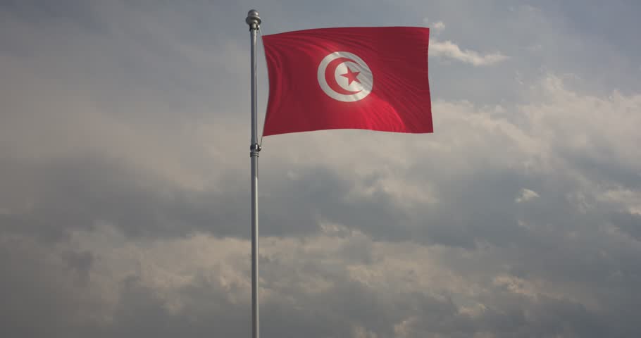 The National Flag of Tunisia (Republic of Tunisia) billows in the wind against a steely grey sky | Shutterstock HD Video #1104113765