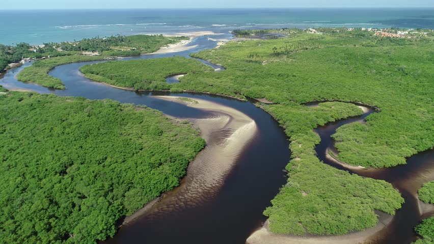 Aerial view of Pontal de Maracaípe, Porto de Galinhas, Pernambuco, Brazil