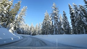 View from car on mounted camera on front glass. Mount Rainier National Park in Washington State. Car driving along the snowy road. Winter sunny day. High quality 4k footage video