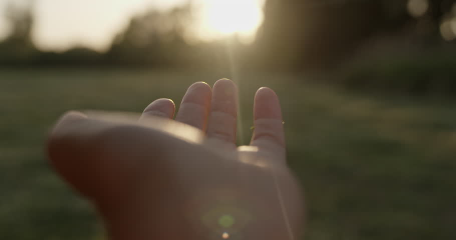 Hand reaching for the sun Royalty-Free Stock Footage #1104140957
