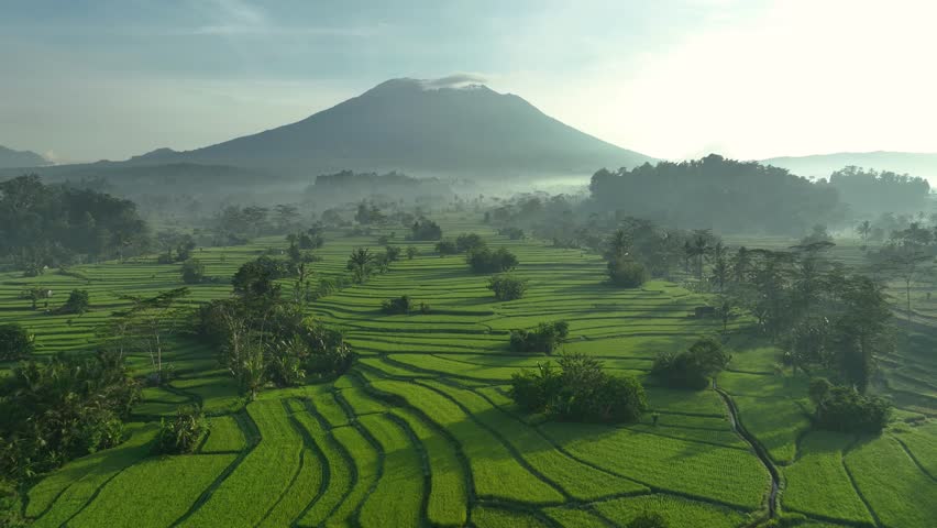 Bali - circa 2023 - excellent aerial view moving over rice terraces towards a misty mountain in sideman, bali, indonesia. Royalty-Free Stock Footage #1104158513
