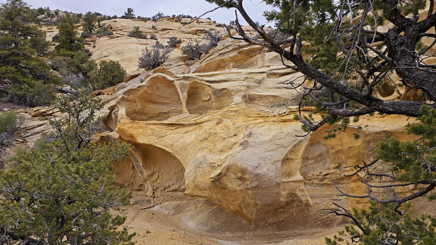 Zoom-Unusual erosion craters in sandstone framed by juniper trees