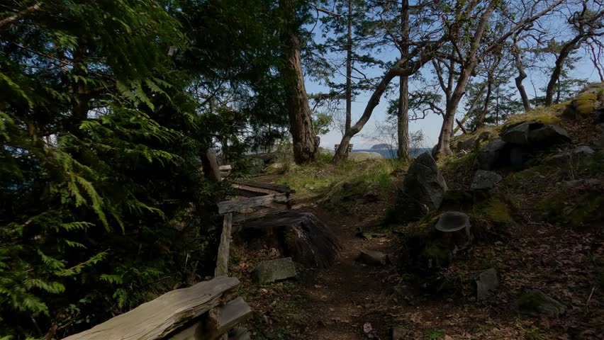 Trail to Rocky Shore on West Coast of Pacific Ocean in Nanoose Bay. Vancouver Island, British Columbia, Canada. Sunny Sky. Canadian Nature Background