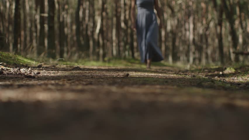 female barefoot legs walking on wooden footpath in summer forest pine trees trunk. bare feet woman step on needles and pine cones in woodland. long blue dress young woman legs in nature Royalty-Free Stock Footage #1104190069
