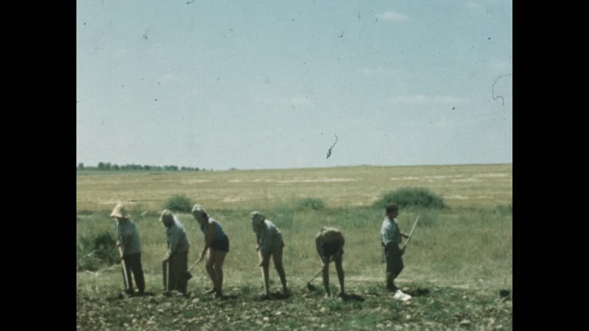 1950s: Military truck pulls past men cultivating field with hoes in field. Soldiers in armored truck look to distance with binoculars.
