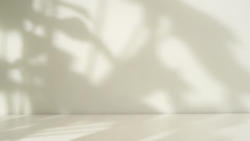 White wall with tropical leaf shadow overlay. Minimalist room for product display Royalty-Free Stock Footage #1104197047