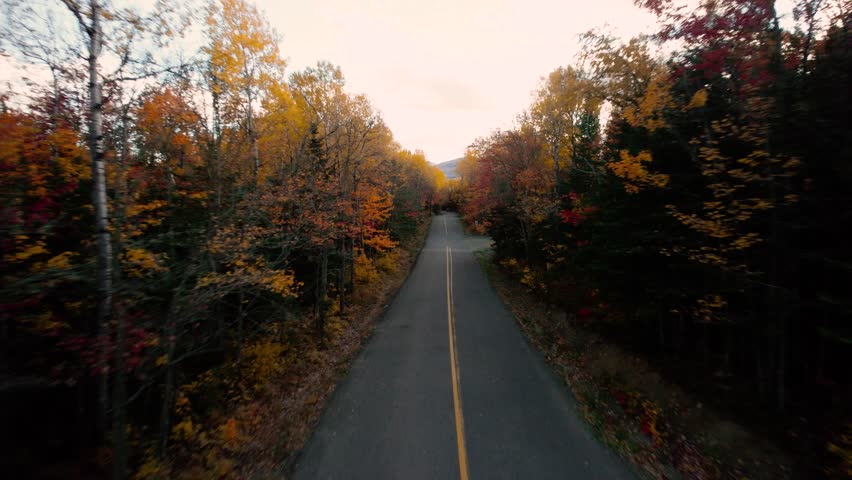 Aerial Drone view: Quebec countryside in fall, scenic roadway through dense autumn forest, hills, and distant mountains Royalty-Free Stock Footage #1104198423