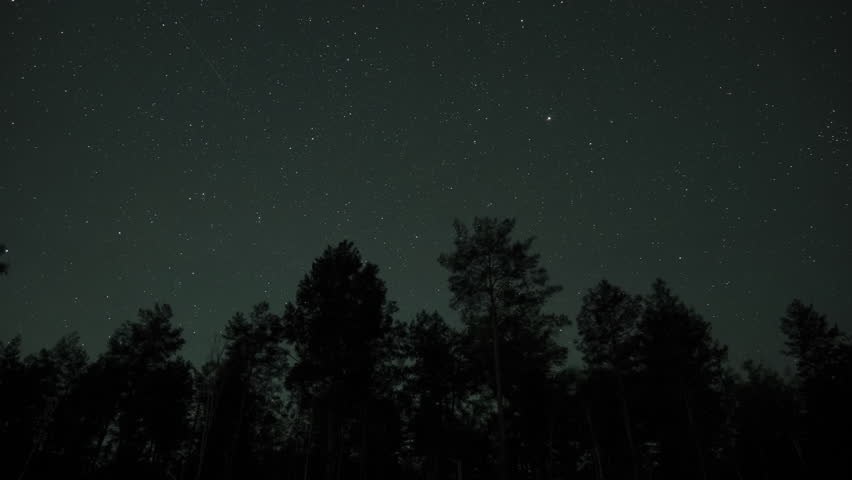 Timelapse of moving stars in night sky over tree silhouettes and dawn. 4K