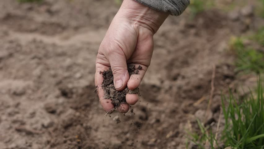 Mature farmer's hand controlling and checking quality of the soil before planting in an ecological farming field. Bio agriculture and eco friendly farming cultivation concept. Fertility agribusiness Royalty-Free Stock Footage #1104212549