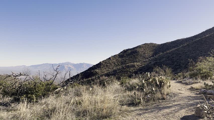 Female Hiker In Coat Passes Camera In Southern Arizona in Saguaro National Park