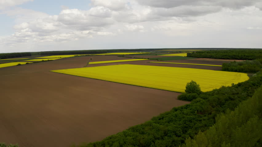 A aerial footage of vibrant field of canola, lush grassland and a backdrop of majestic trees in the vast rural landscape create an awe-inspiring sight that perfectly embodies natures beauty.