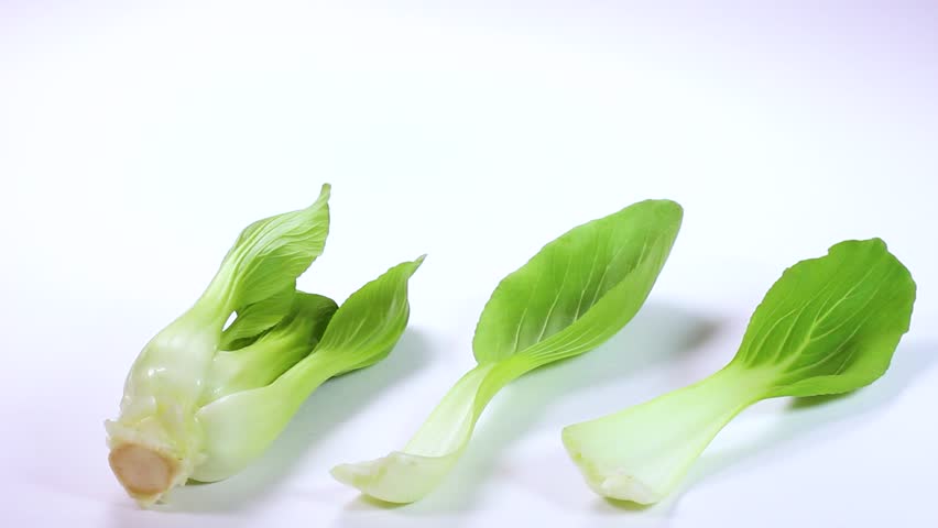 Bok choy vegetable on  white background rotating Royalty-Free Stock Footage #1104221867