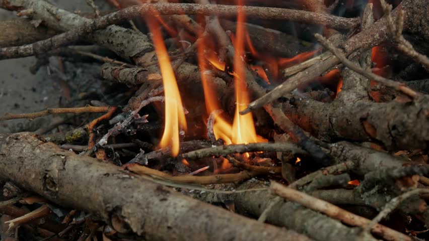 close-up shot burning wood for a bonfire outside in the mountains