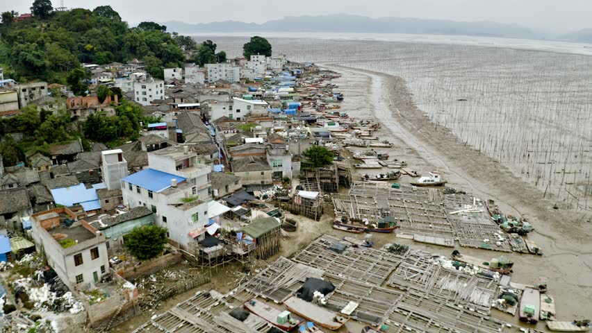 Aerial shot of small fishing town on the coast of Xiapu County in China. The bamboo poles are for drying seaweed.