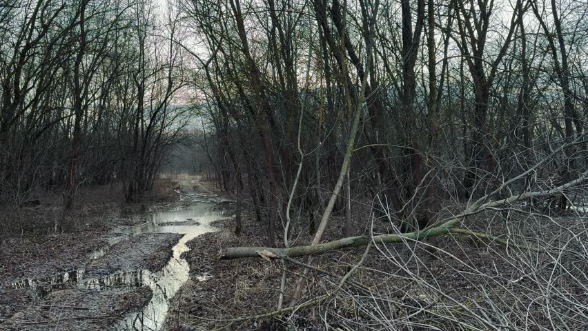 off-road. muddy way in the forest early spring just melted the snow. road dirt water puddles off-road in the forest. xtreme path forest no road lifestyle water mud puddles