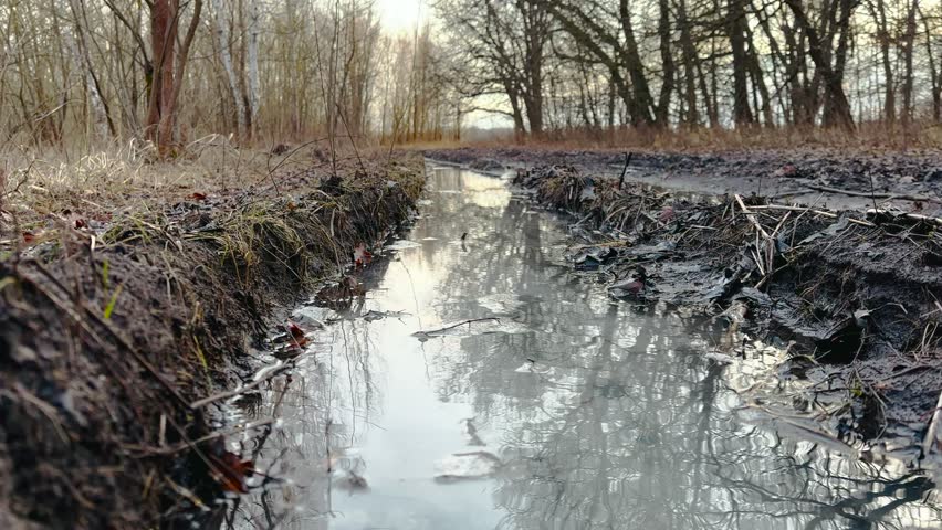 off-road. muddy way in the forest early spring just melted the snow. road dirt water puddles off-road in the forest. xtreme path forest no road water mud lifestyle puddles