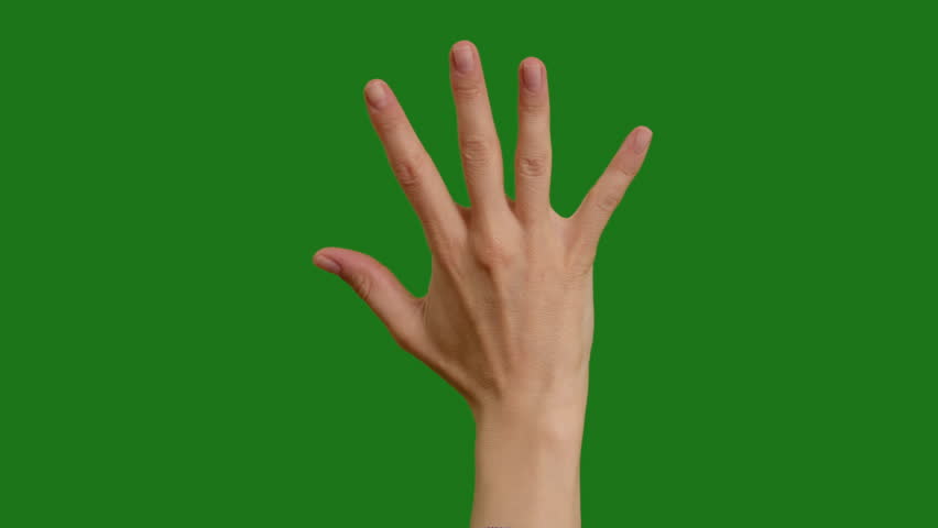 Woman hands showing counting with fingers on green screen background. Fingers slowly shows fist first, then one, two, three, four, five fingers.