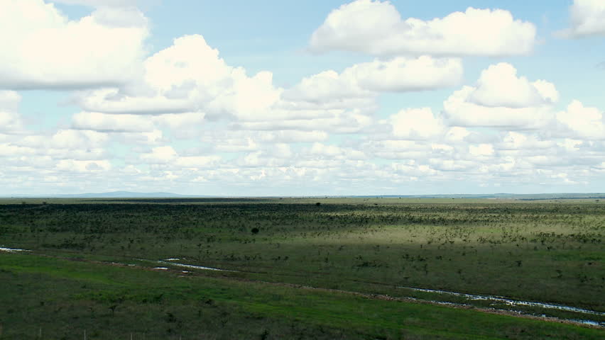 Wide pan of Nairobi National Park, Kenya, during the rainy season with a bright blue sky and white fluffy clouds