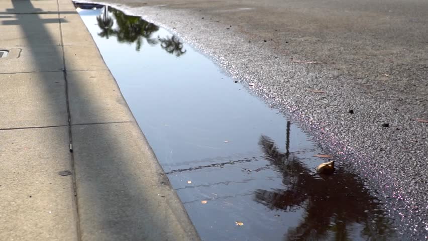 curb puddle after rain storm with oil and reflection of palm trees Royalty-Free Stock Footage #1104254649