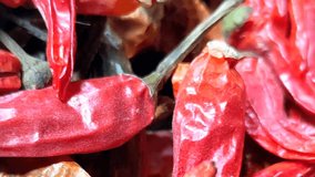 Dried red chillies peppers stock footage video.