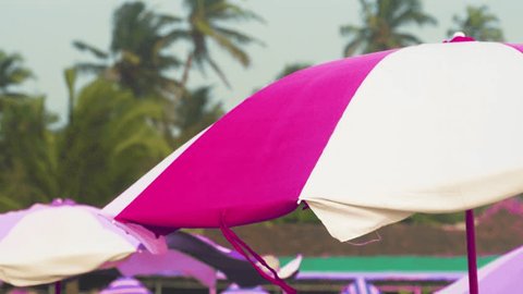 Pink beach sunshade against of tropical palm trees 스톡 비디오