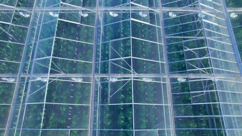 Large Industrial Technology Greenhouses With Transparent Glass Roof With Vegetables. Modern Greenhouses Aerial View. Farming Organic Vegetable Cultivation in Greenhouses, Agriculture Industry. Royalty-Free Stock Footage #1104268657