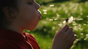 Close up of attractive preteen girl child blowing on dandelion in park during beautiful sunset. Happy playful cute little kid enjoy and explore nature in summer park at sunny day. Slow motion - Powered by Shutterstock - Get 15% off with code: PIKWIZARD15