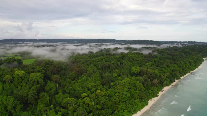 Islands rain forests is a tropical moist broadleaf forest ecoregion in the Indian Islands. Royalty-Free Stock Footage #1104278681