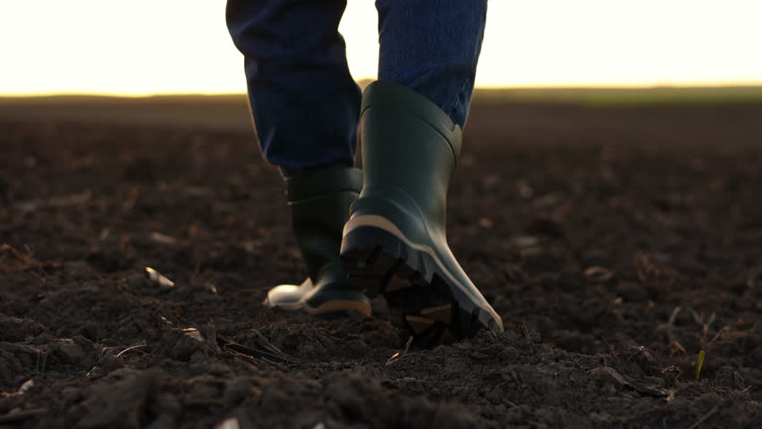 Agriculture. Cropped shot of back view businessman farmer in rubber boots walks along plowed field with digital tablet. Agronomist checking and analyses fertile soil on sunrise. Agribusiness Royalty-Free Stock Footage #1104282843