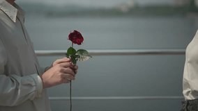 the boy gives the girl a rose.close-up. a teenage boy gives a teenage girl a rose. teenage girl rejects teenage guy. slow motion video. High quality Full HD video recording