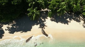 Drone shot of beautiful white sandy beach with coconut palm trees, tourist enjoying the hot sun, Mahe Seychelles.